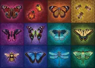 Puzzle Beautiful winged insects