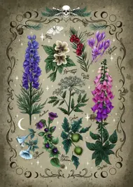 Puzzle Poisonous Plants