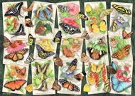 Puzzle  Tropischer Schmetterling