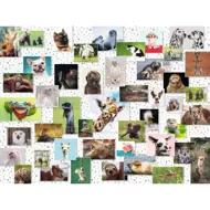 Puzzle Zábavné domáce zvieratá