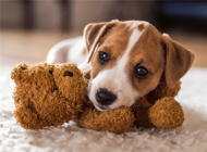 Puzzle A warm hug