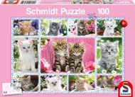 Puzzle Mačiatka