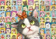 Puzzle Mačacia mimika