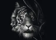Puzzle Rader: Tiger