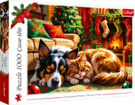 Puzzle Snívanie o zime