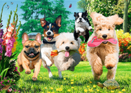 Puzzle Premium Plus Tea Time: Tu prichádzajú problémy!