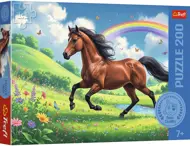 Puzzle Vznešený kôň