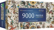 Puzzle Cartes célestes anciennes